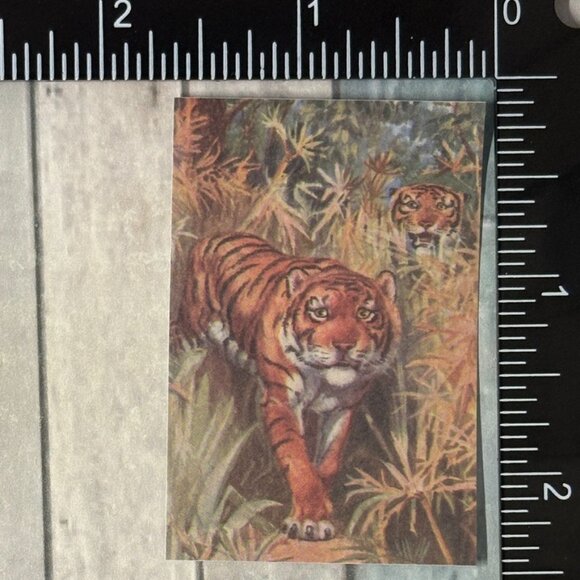 ๐10/$10๐ Classic Vicious Cats Lion Tiger Cheetah Reusable Washi Sticker Decal - Picture 1 of 1